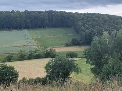 Umgebung von Berg
