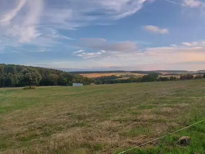 Wiesen hinter dem Mühlbachhof