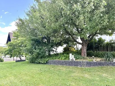 Ferienwohnung für 4 Personen (100 m²) in Ehrenberg (Hessen) 3/10