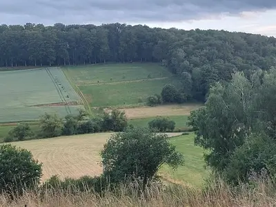 Ferienwohnung für 2 Personen (21 m²) in Berg 4/10