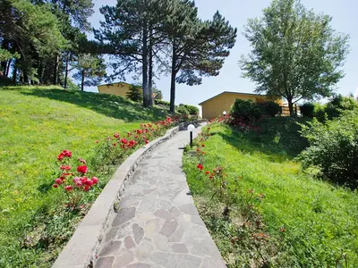 GardenSummer
