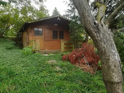 Ferienwohnung für 9 Personen (75 m²) in Kasten bei Böheimkirchen 10/10