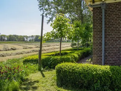 GardenSummer