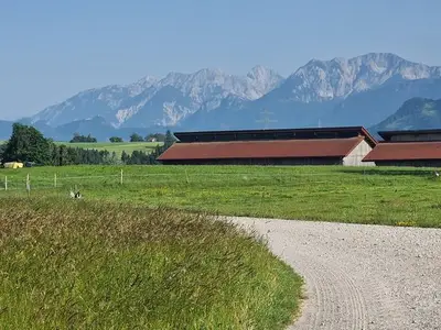 Ferienwohnung für 6 Personen (60 m²) in Oy-Mittelberg 3/10
