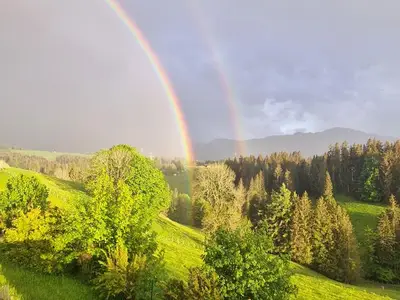 Ferienwohnung für 6 Personen (60 m²) in Oy-Mittelberg 4/10