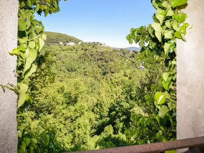 view-from-room