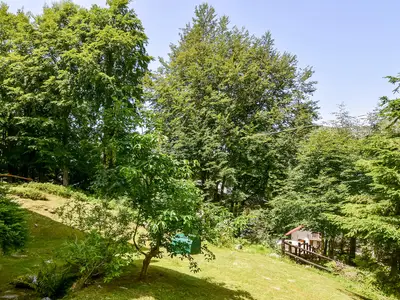 outside