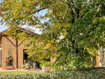 outside