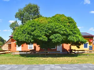 Ferienwohnung für 2 Personen (20 m²) in Mirow
