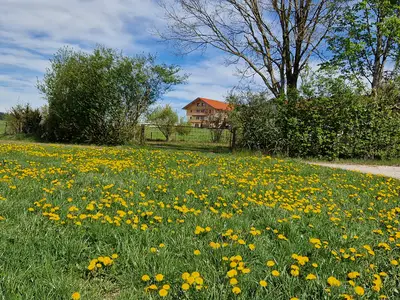 Frühling Blick auf die Ferienwohnungen