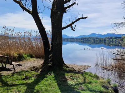 Frühling privater Strand am Waginger See für unsere Gäste