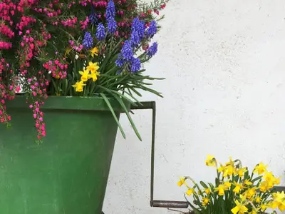 Ferienwohnung für 2 Personen (57 m²) in Freiburg 5/10