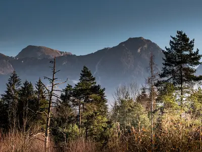 Blick aus dem Fenster