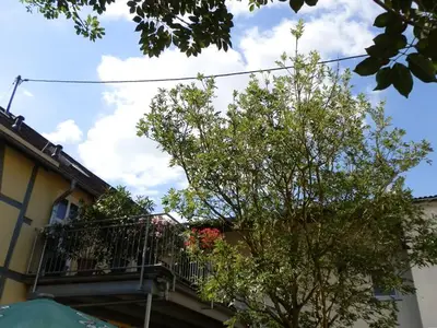 Ferienwohnung für 2 Personen (70 m²) in Herold 7/10