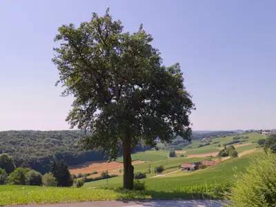 Aussicht