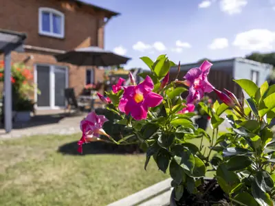 Ambiente / Nahaufnahme