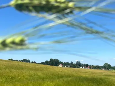 Ferienwohnung für 2 Personen (45 m²) in Dippoldiswalde 2/10