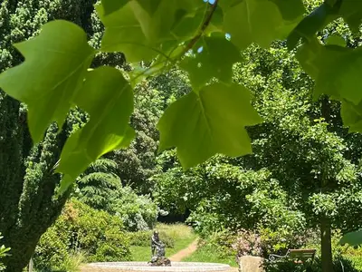Ferienwohnung für 2 Personen (45 m²) in Dippoldiswalde 4/10