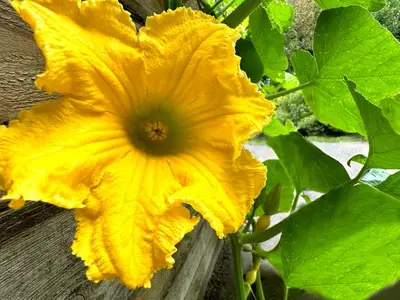 Ferienwohnung für 2 Personen (22 m²) in Elmenhorst 5/10