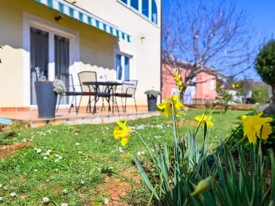 Ferienwohnung für 5 Personen (50 m²) in Murine 4/10