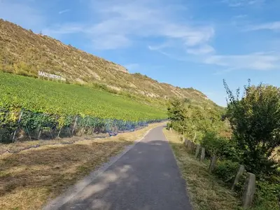 Ferienwohnung für 2 Personen (65 m²) in Naumburg 9/10