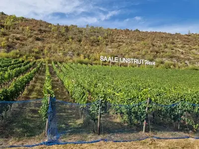 Ferienwohnung für 2 Personen (65 m²) in Naumburg 10/10