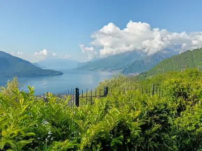 Landschaft