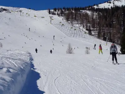 Ferienwohnung für 4 Personen (60 m²) in Haus (Steiermark) 2/10