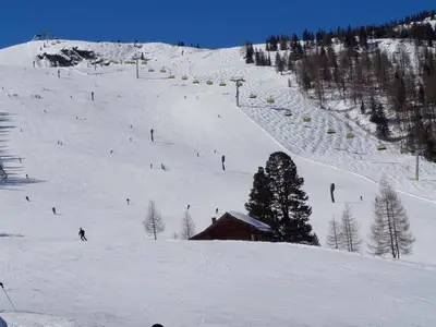Ferienwohnung für 4 Personen (60 m²) in Haus (Steiermark) 3/10