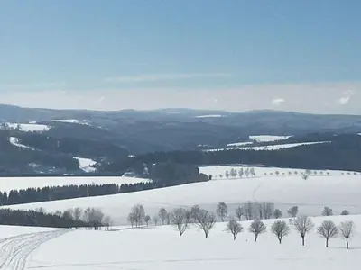 Ferienwohnung für 2 Personen (54 m²) in Neuhausen/Erzgebirge 5/10