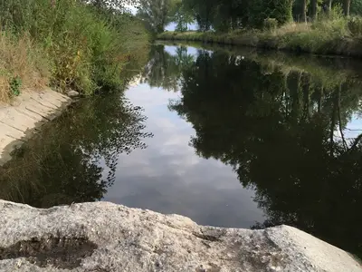 Fischtreppe an der Werse