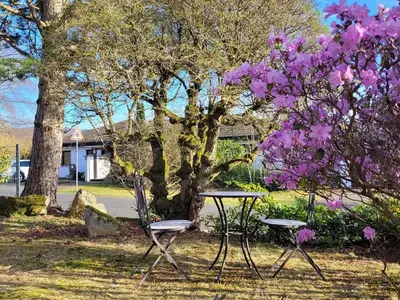 Ferienwohnung für 2 Personen (54 m²) in Gersfeld 2/10
