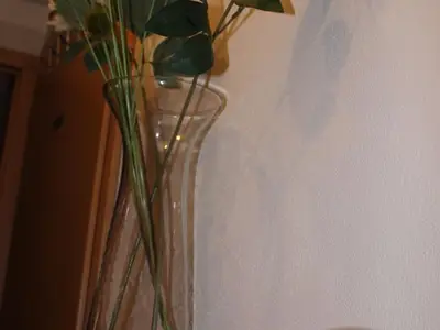 Ferienwohnung für 5 Personen (54 m²) in Malschwitz 10/10