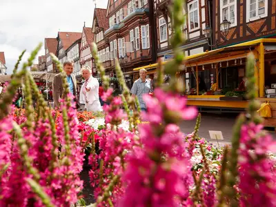 S01 © Lüneburger Heide GmbH