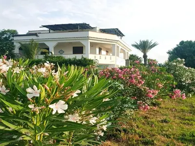 ExteriorSummer