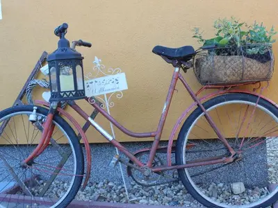 Ferienwohnung für 5 Personen (54 m²) in Malschwitz 6/10