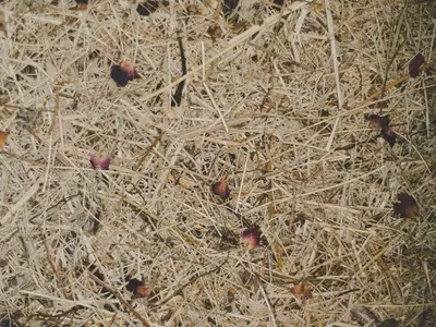 Ferienwohnung für 6 Personen (65 m²) in Nauders 6/10