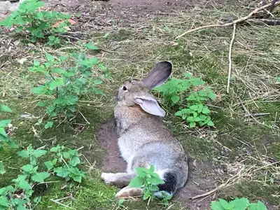 Ferienwohnung für 3 Personen in Nebra (Unstrut) 6/10