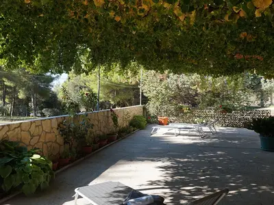 Outdoor