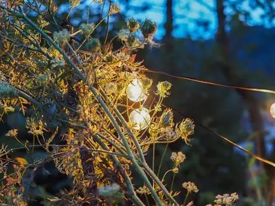Ferienwohnung für 2 Personen (70 m²) in Isselbach 6/10