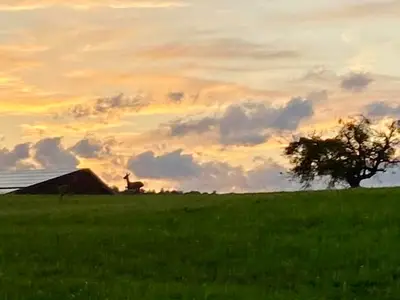 Ferienwohnung für 2 Personen (70 m²) in Isselbach 7/10