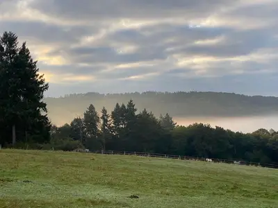 Ferienwohnung für 2 Personen (70 m²) in Isselbach 8/10