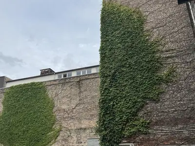 Ferienwohnung für 4 Personen (60 m²) in Saarbrücken 4/10