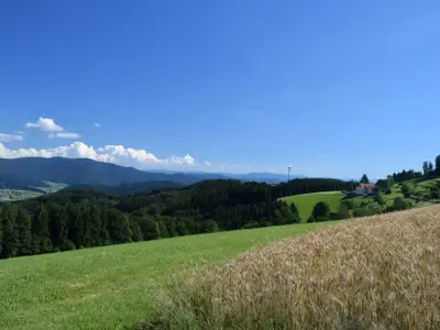 blickvomschillingerberginselztal