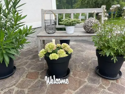 Ferienwohnung für 2 Personen (20 m²) in St. Georgen am Kreischberg 10/10