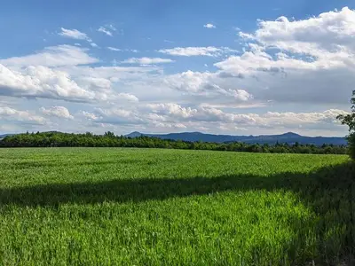Ferienwohnung für 4 Personen (60 m²) in Ebersbach-Neugersdorf 4/10