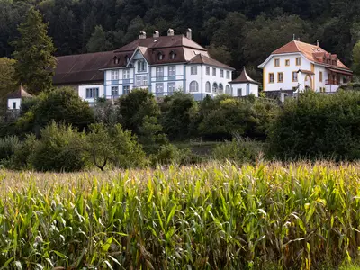 Bild 9