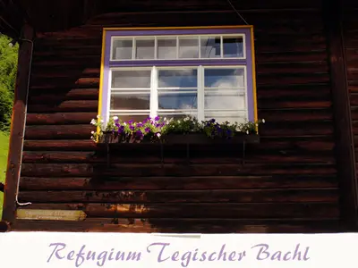 Blumenschmuck im Sommer