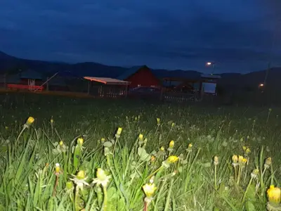 GardenSummer