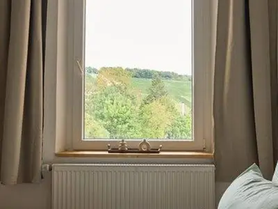 Ferienwohnung für 2 Personen (70 m²) in Bad Neuenahr-Ahrweiler 4/10